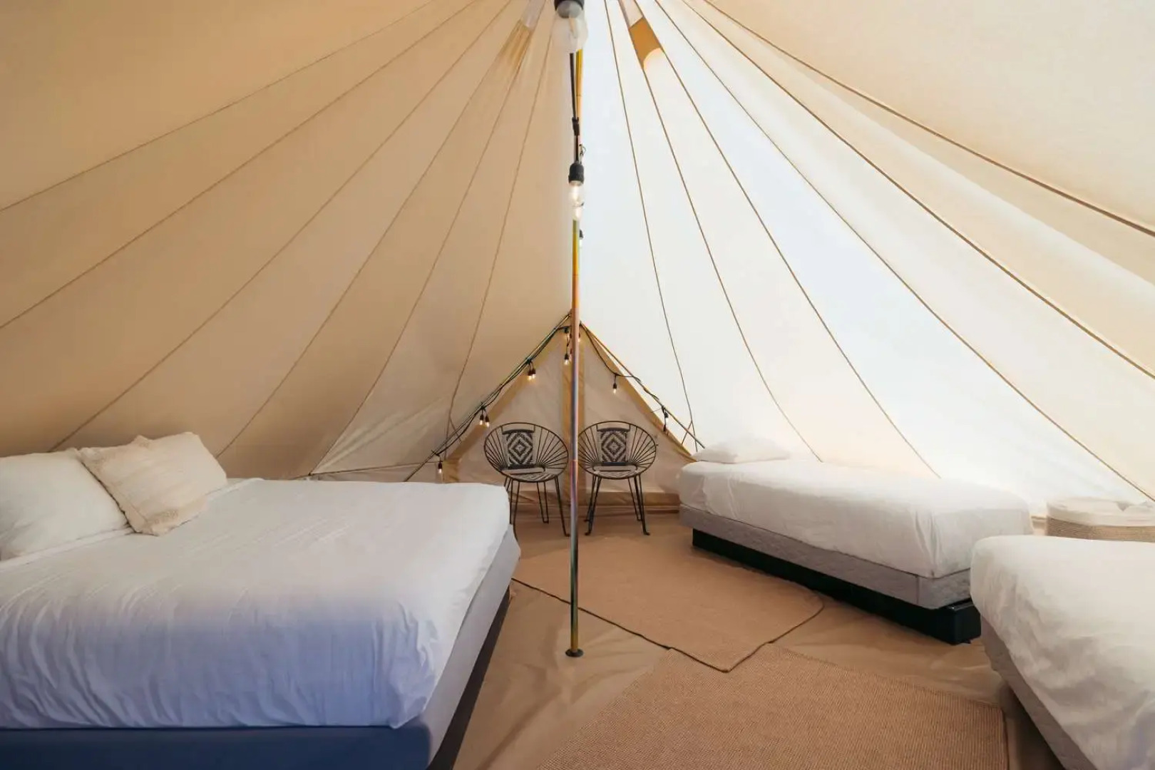 Zion Wildflower, BW Premier Collection