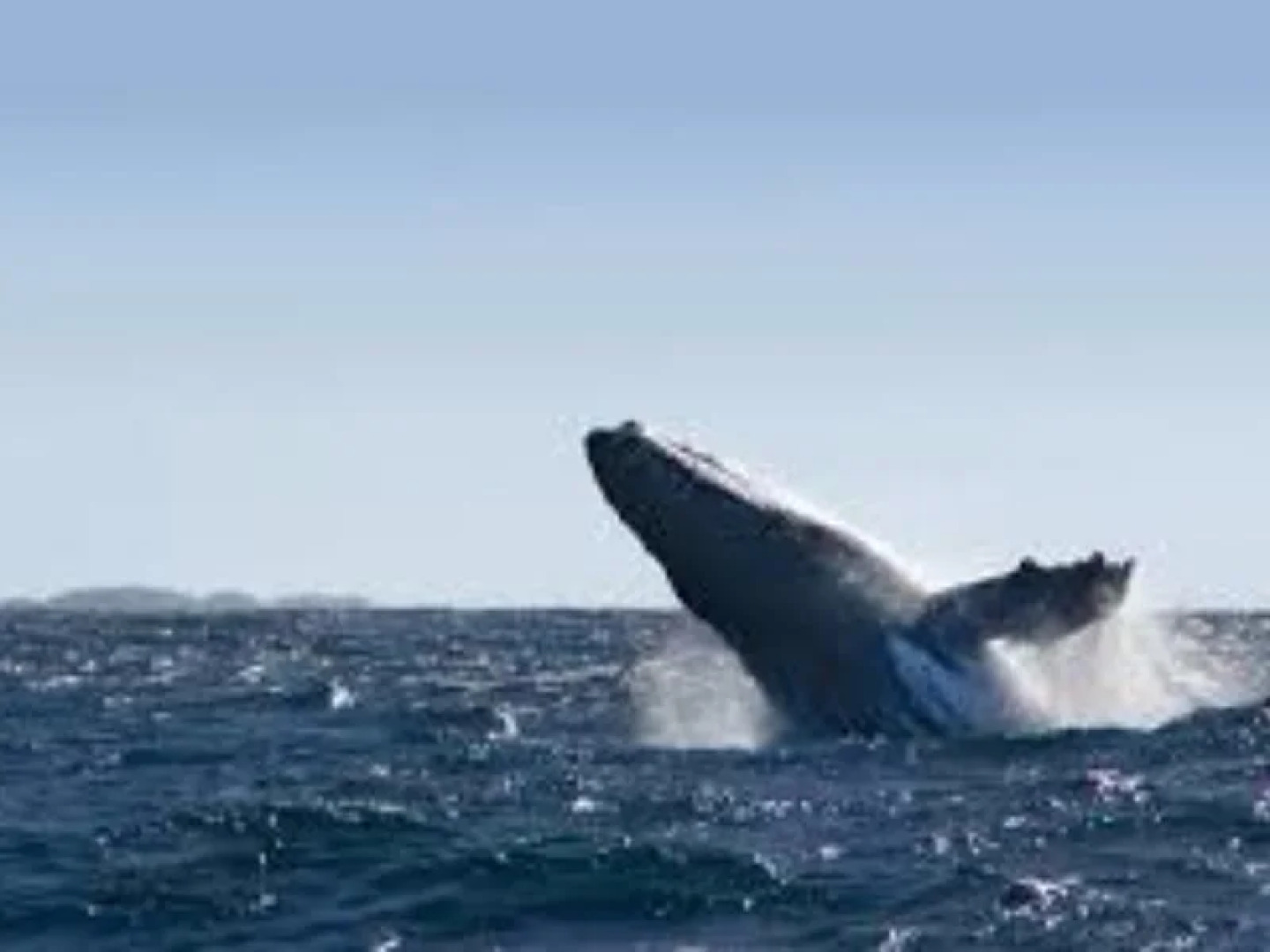 Beachport Bed and Breakfast