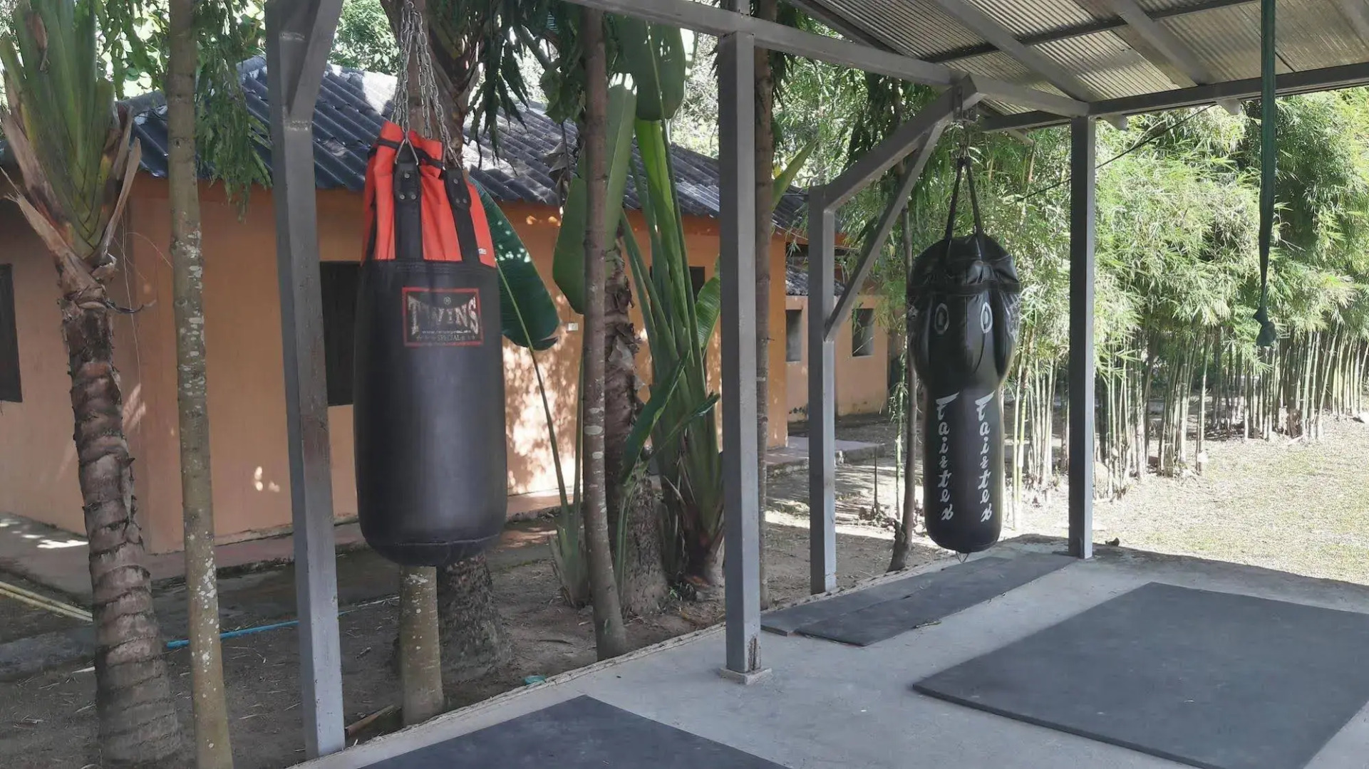 Purple Monkey Backpackers