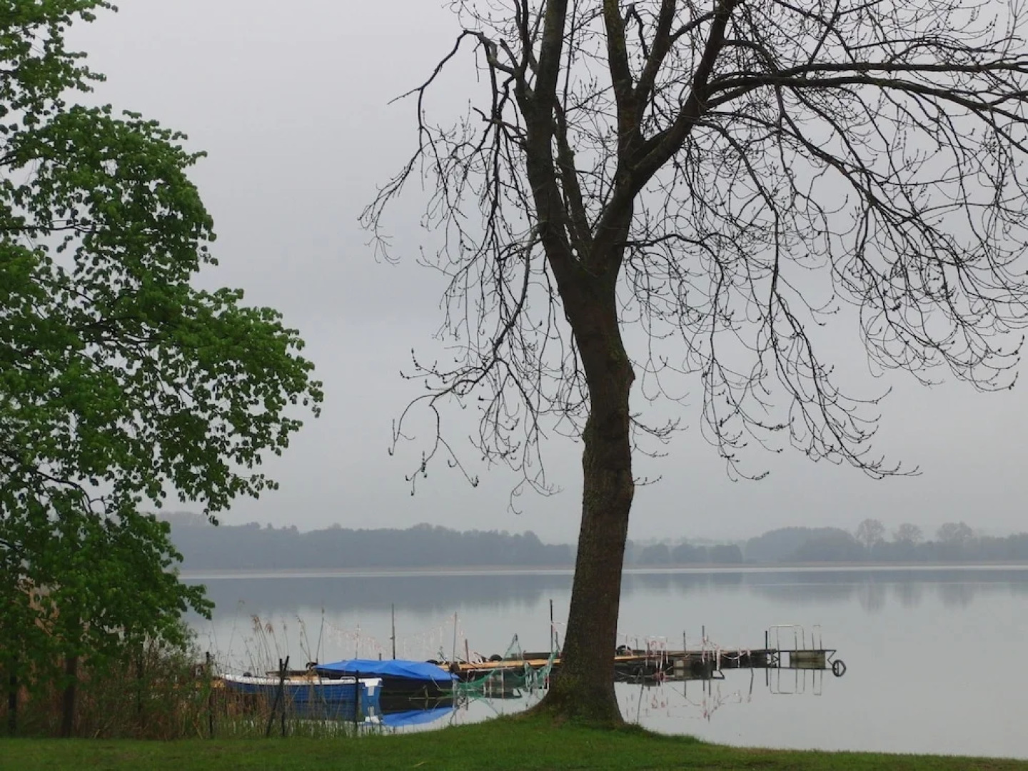 Spacious Holiday Home in Dahmen with Terrace