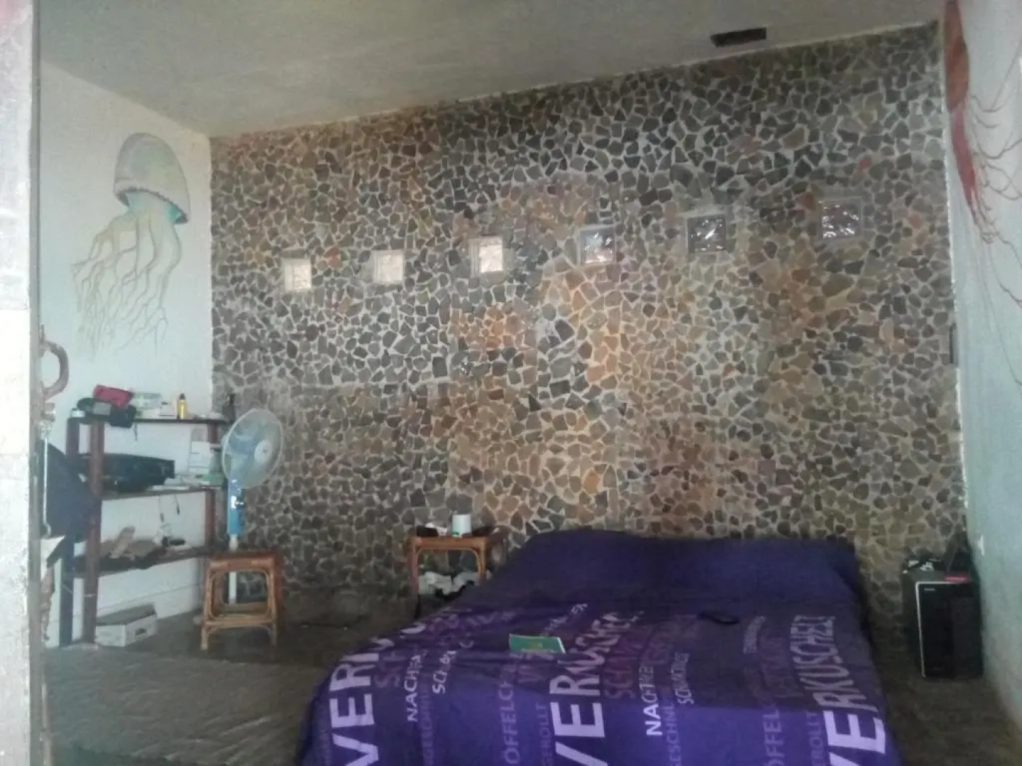 Saldomar B&Biosphere