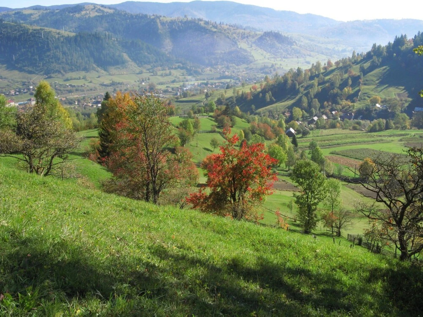 Pensiunea Csillag Panzió