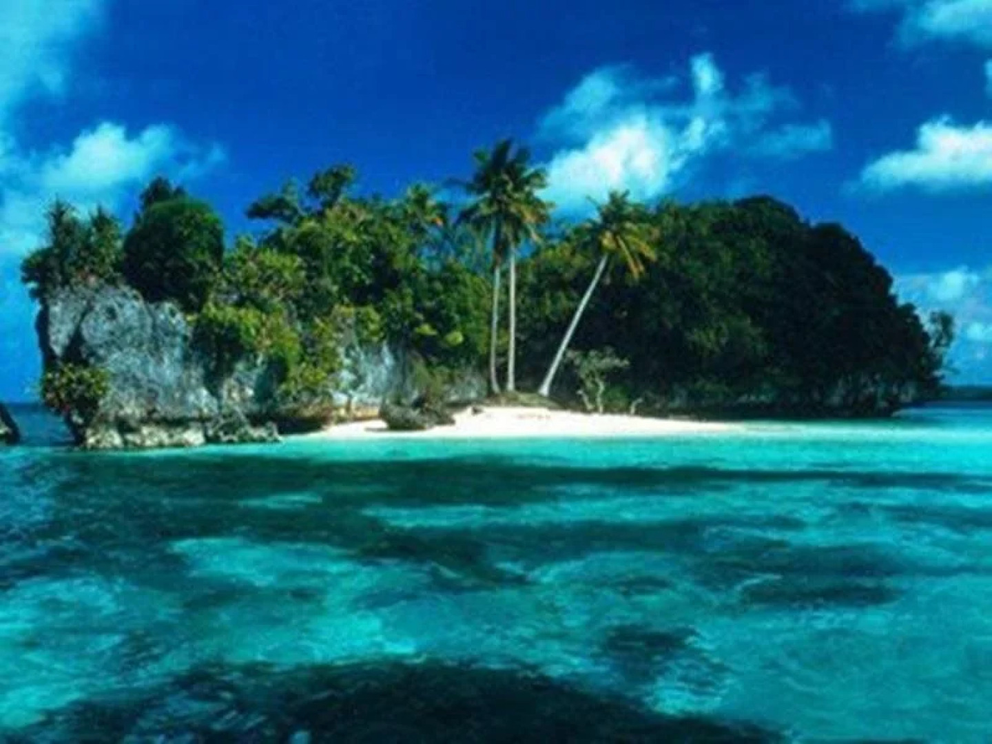 West Plaza Coral Reef