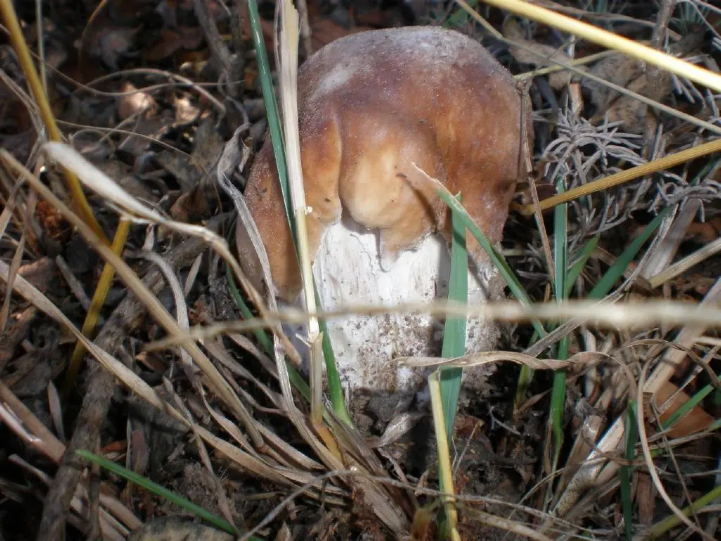 Casa Rural de Miguel