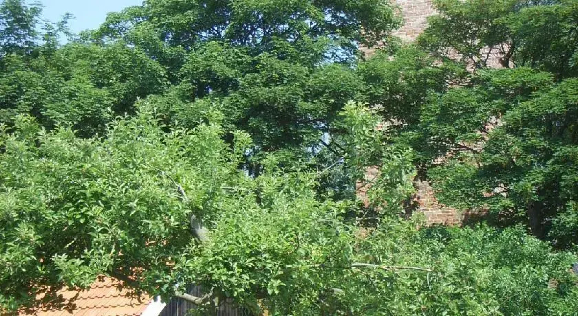 Bed & Breakfast "Gastenverblijf-FINKUM"