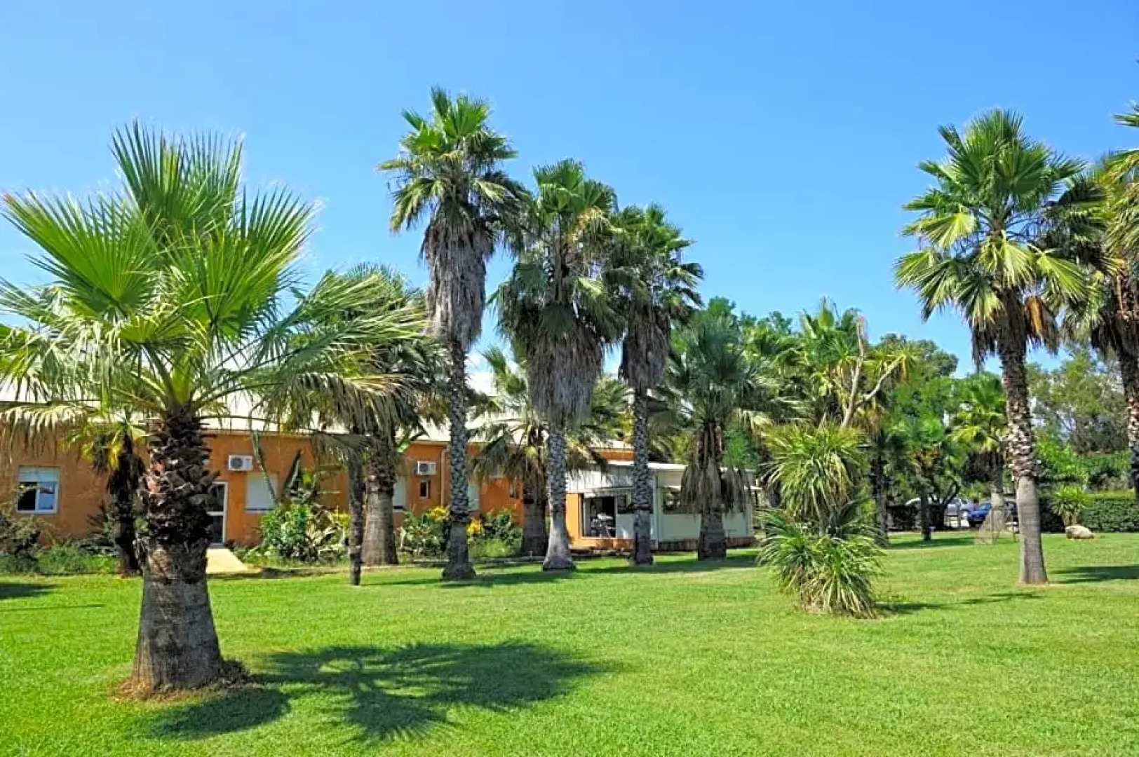 Hôtel Le Banana's -  Auberge du Corsigliese