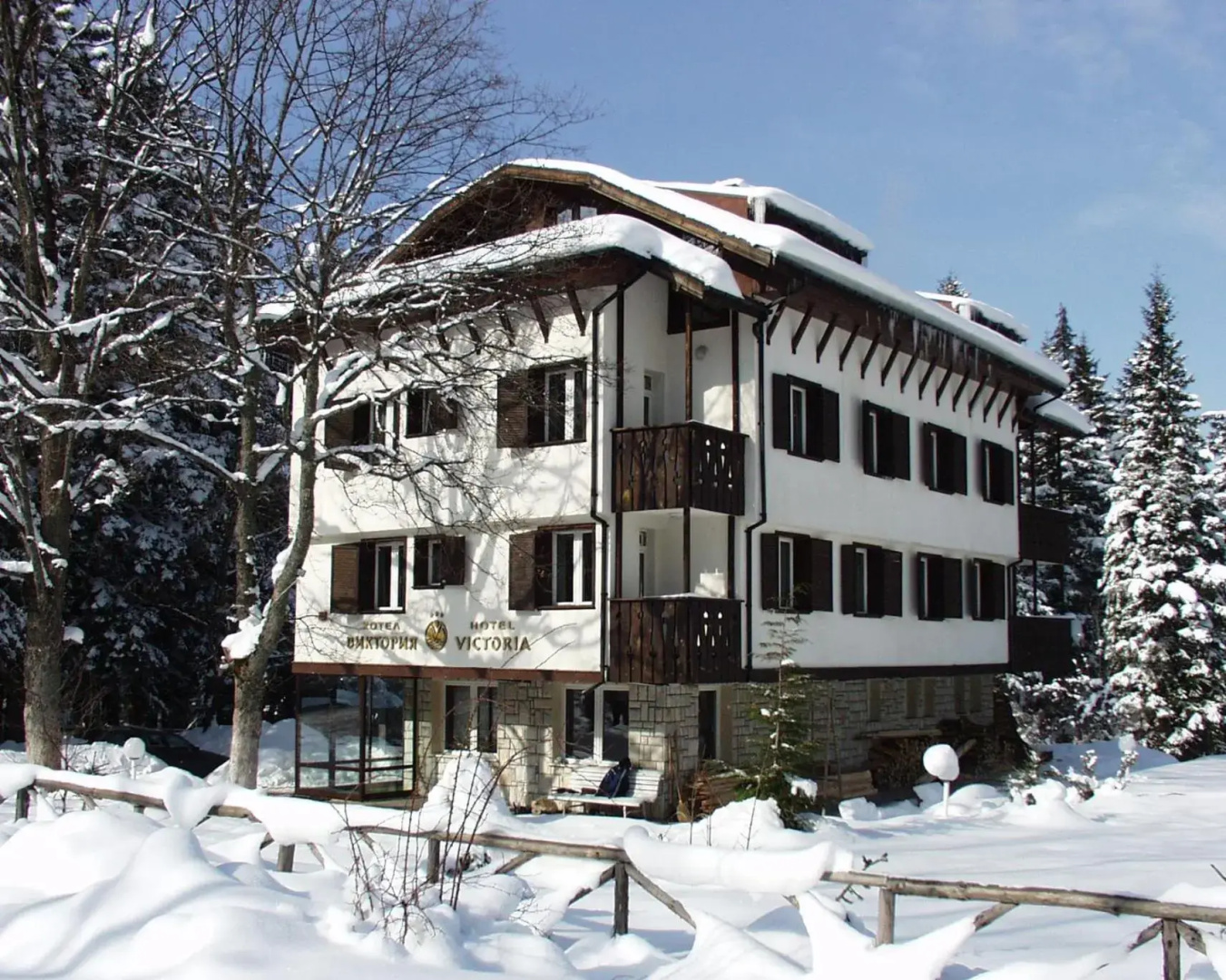 Victoria Borovets