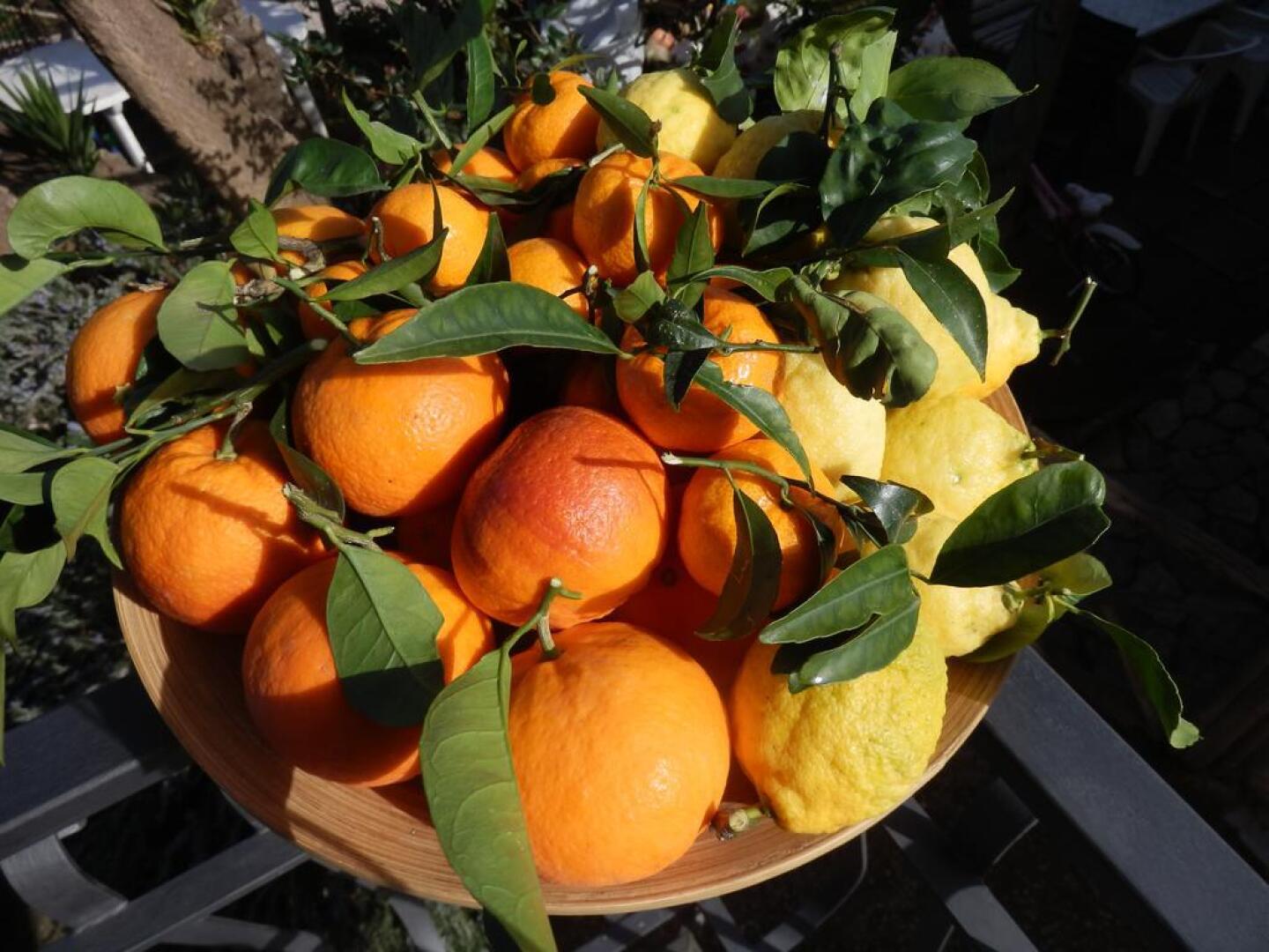 B&B Giardino 21 Marzo