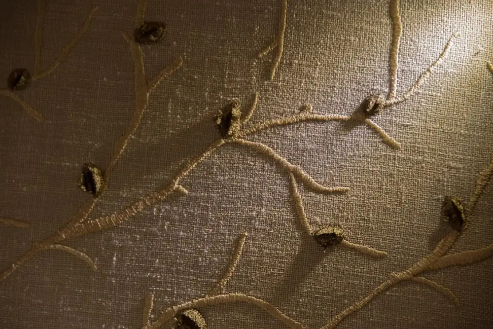 The House at Glenbarr