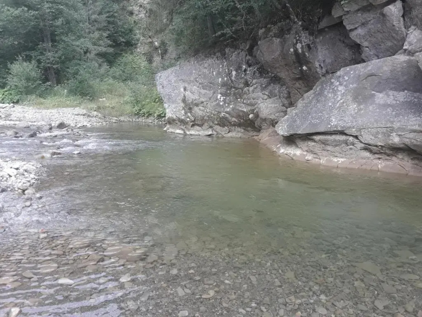 U Anastasii i Sofii bilya richki