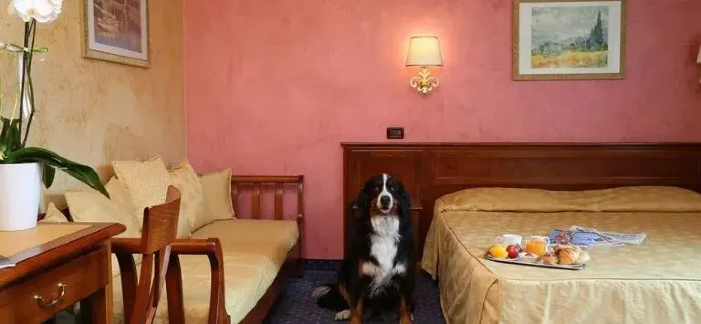 Hotel Abacus