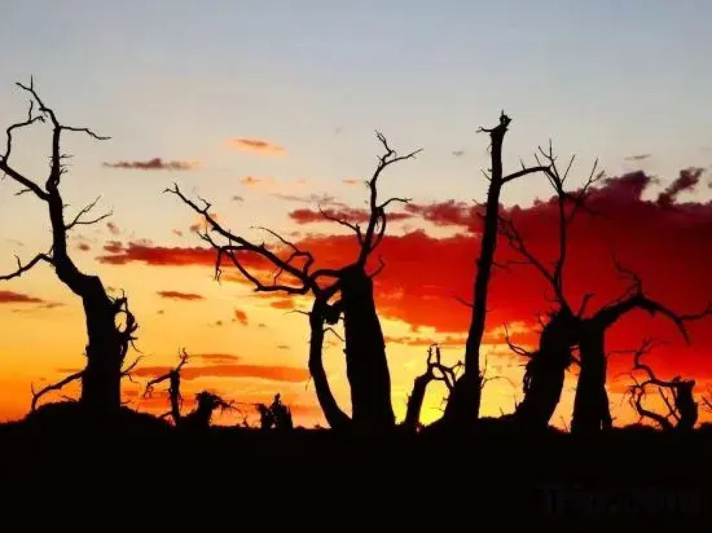 Ejinaqi Sanqiju Hotel