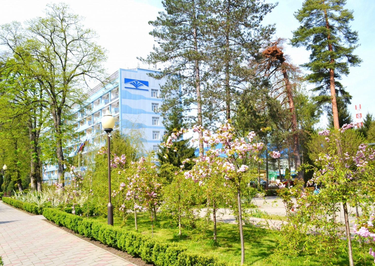 Предгорье Кавказа