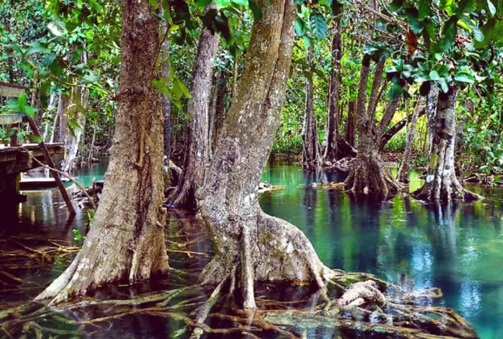 Luxury Retreat by the Sea