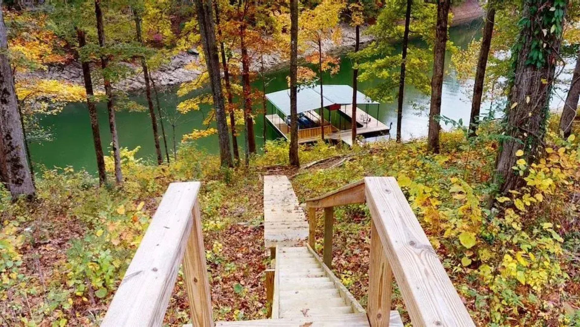 Young Mountain Cove