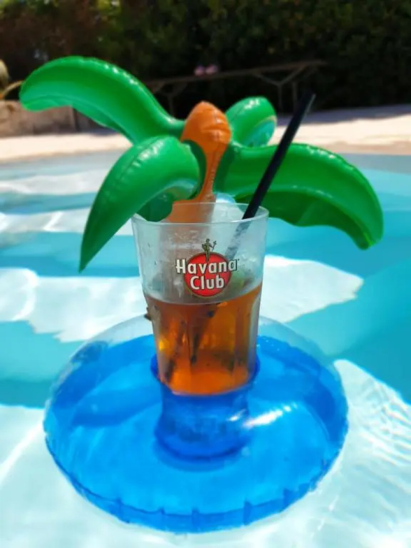 Villa Flore - Penthouse - apartment in villa