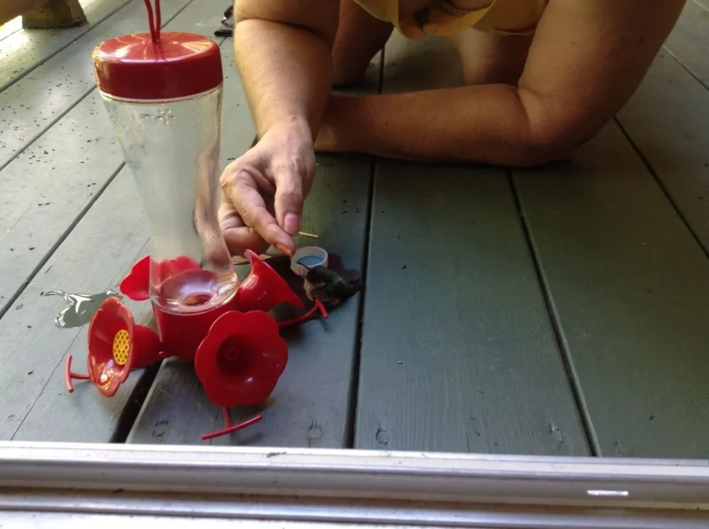 Gite Bijou dans la Forêt