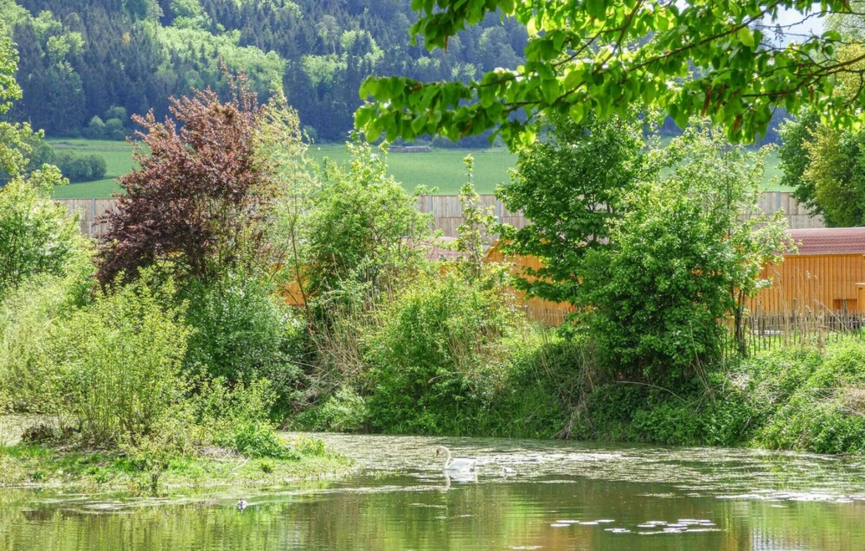 Stunning Home in Beilngries With 1 Bedrooms and Indoor Swimming Pool