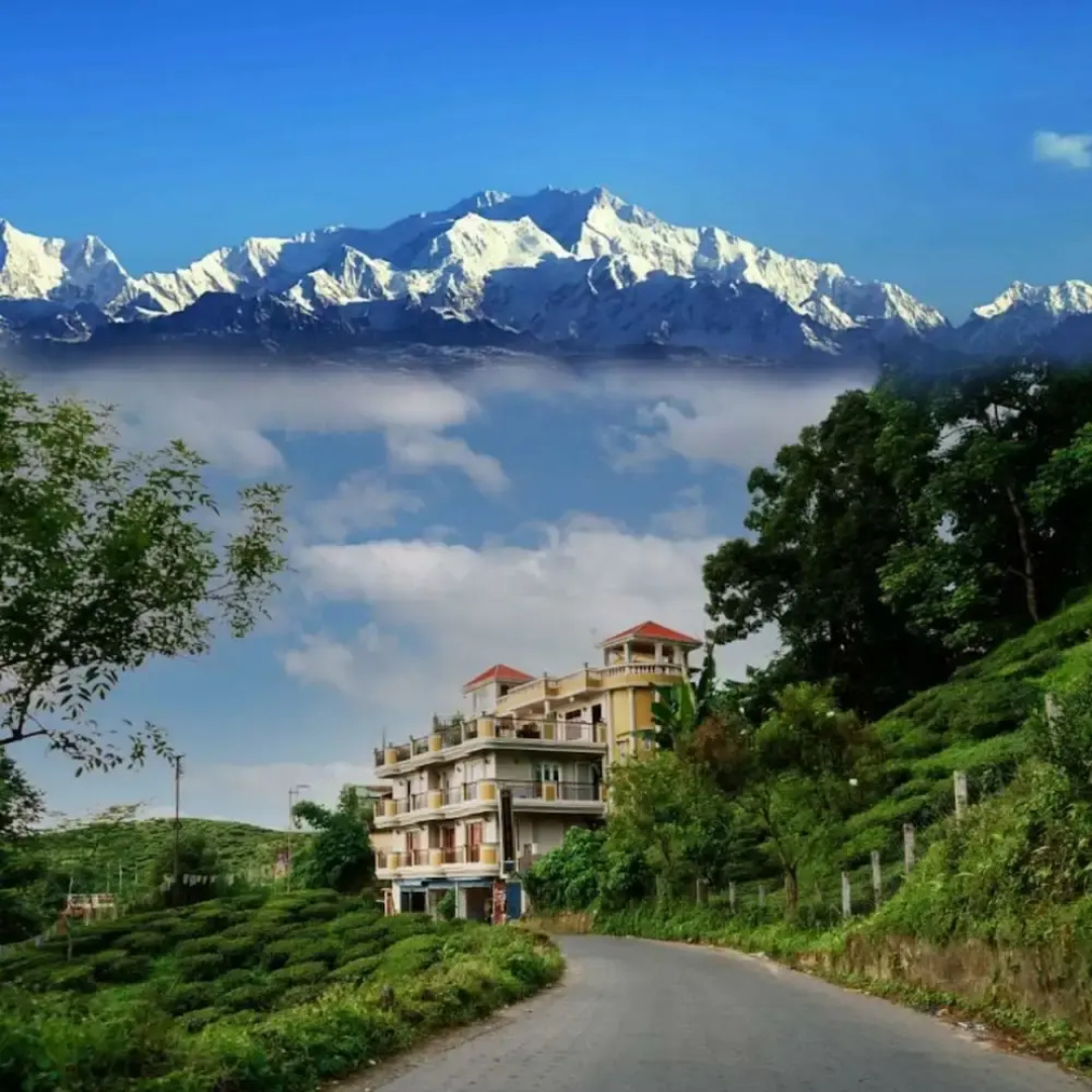 Traditional Hotel And Restaurant