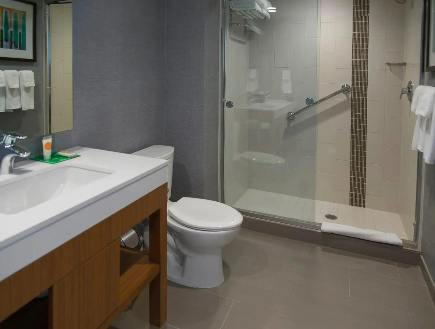 Hyatt Place Detroit/Novi