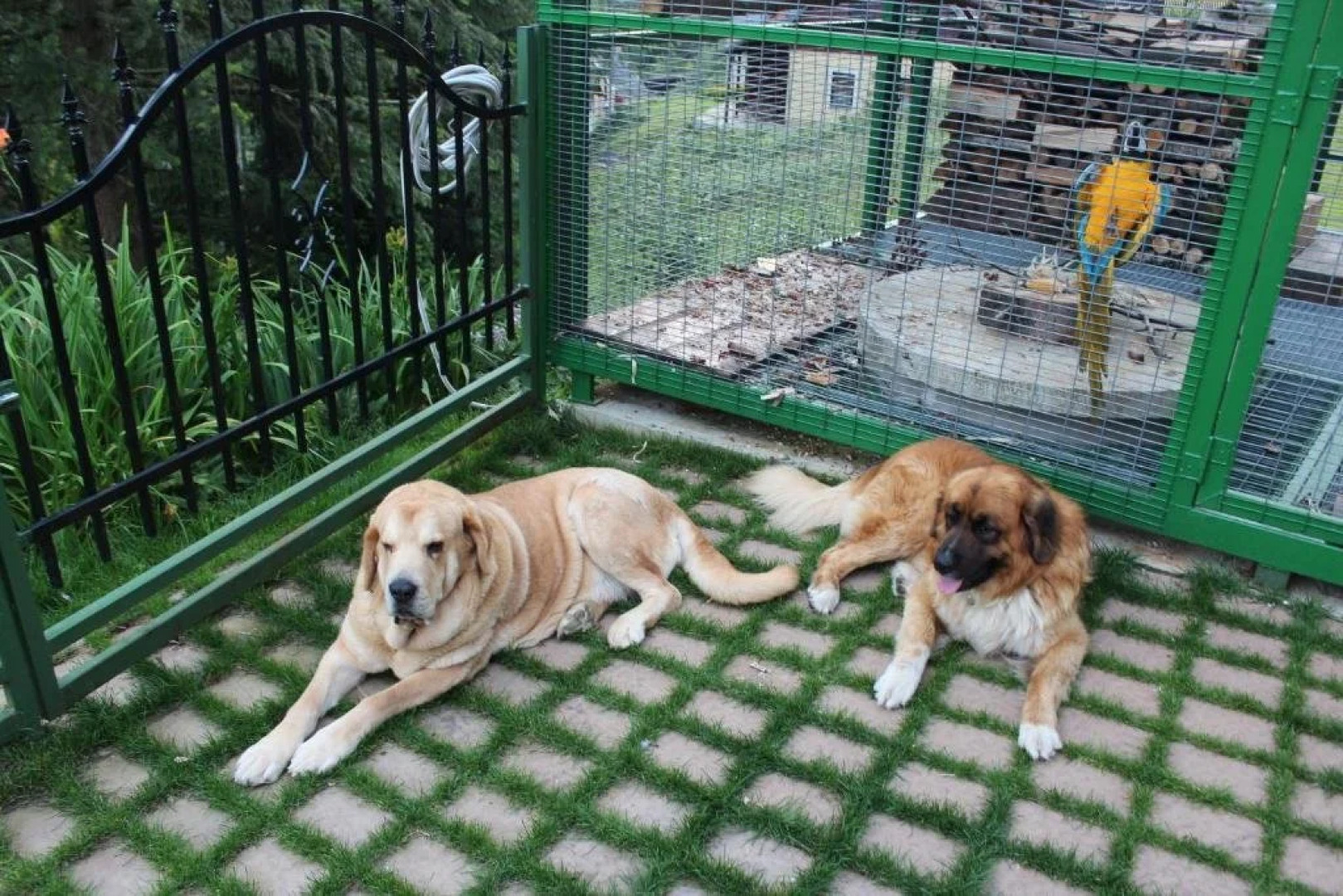 Apartmány a Chalupa Tara