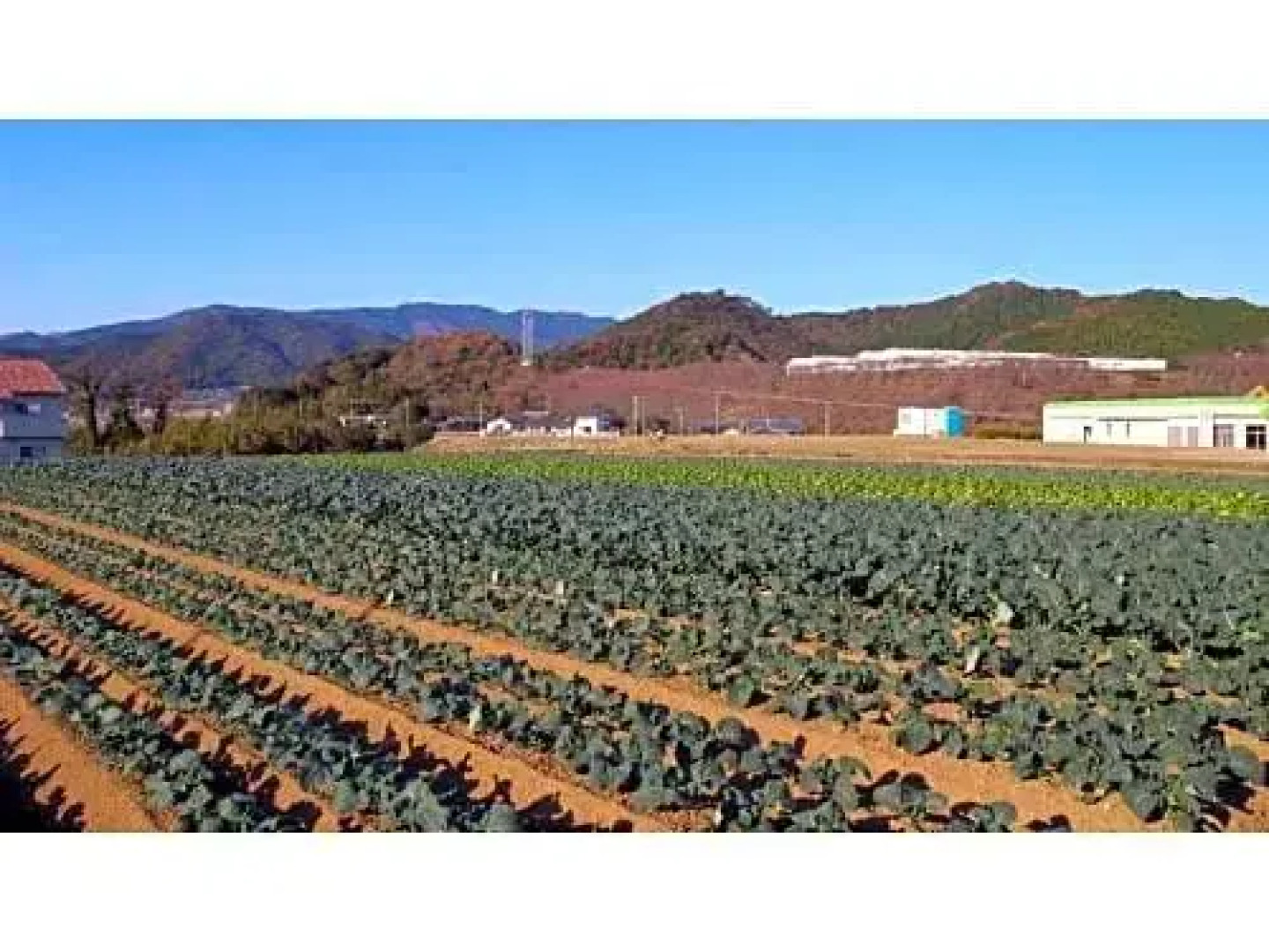 Hotel Select EhimeAinancho - Vacation STAY 99461v