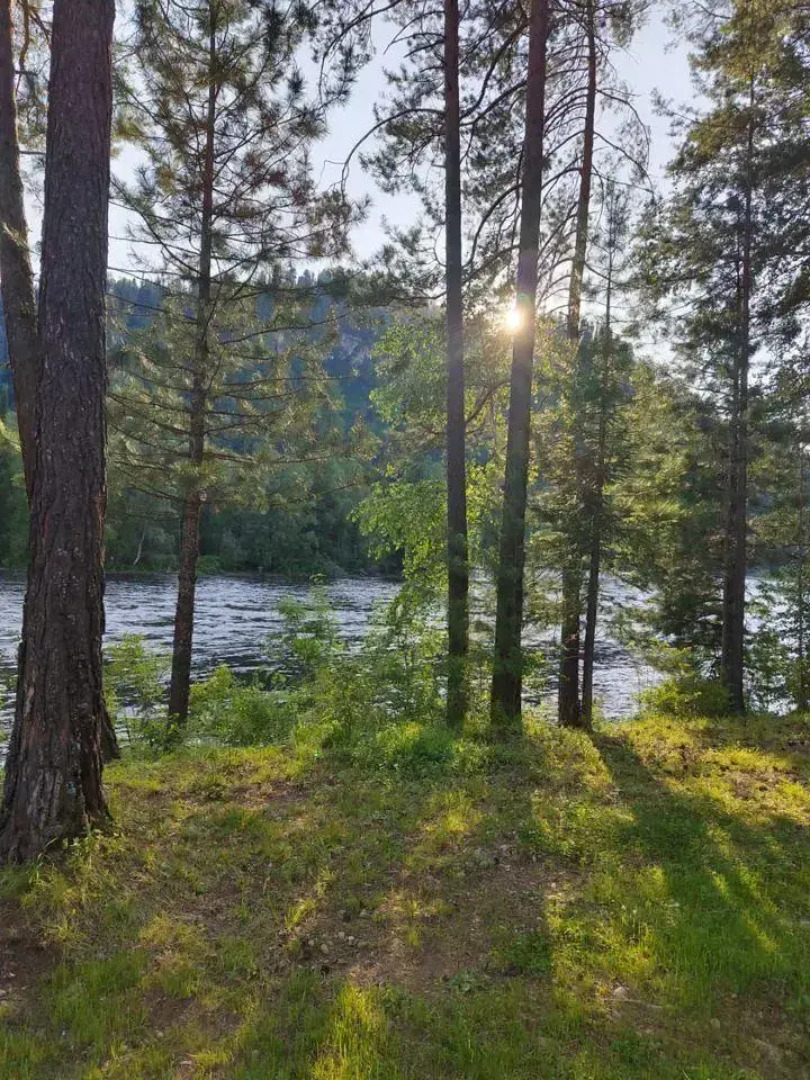 Объятия Бии