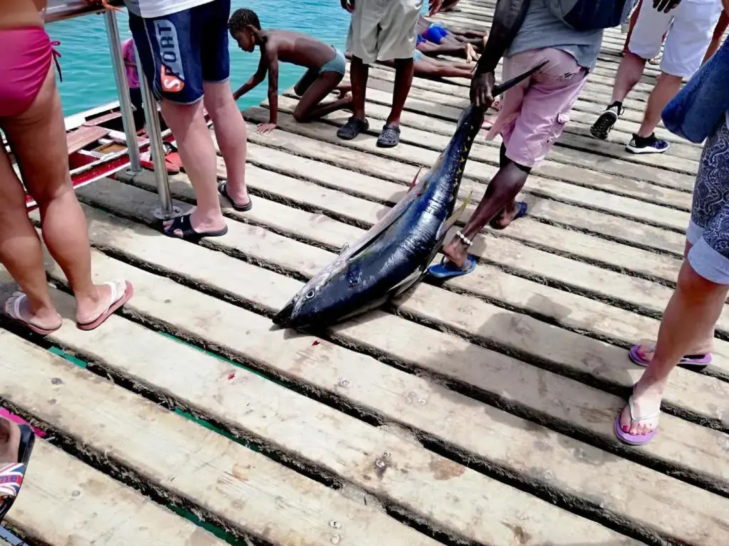 Sal Service - Beach residence