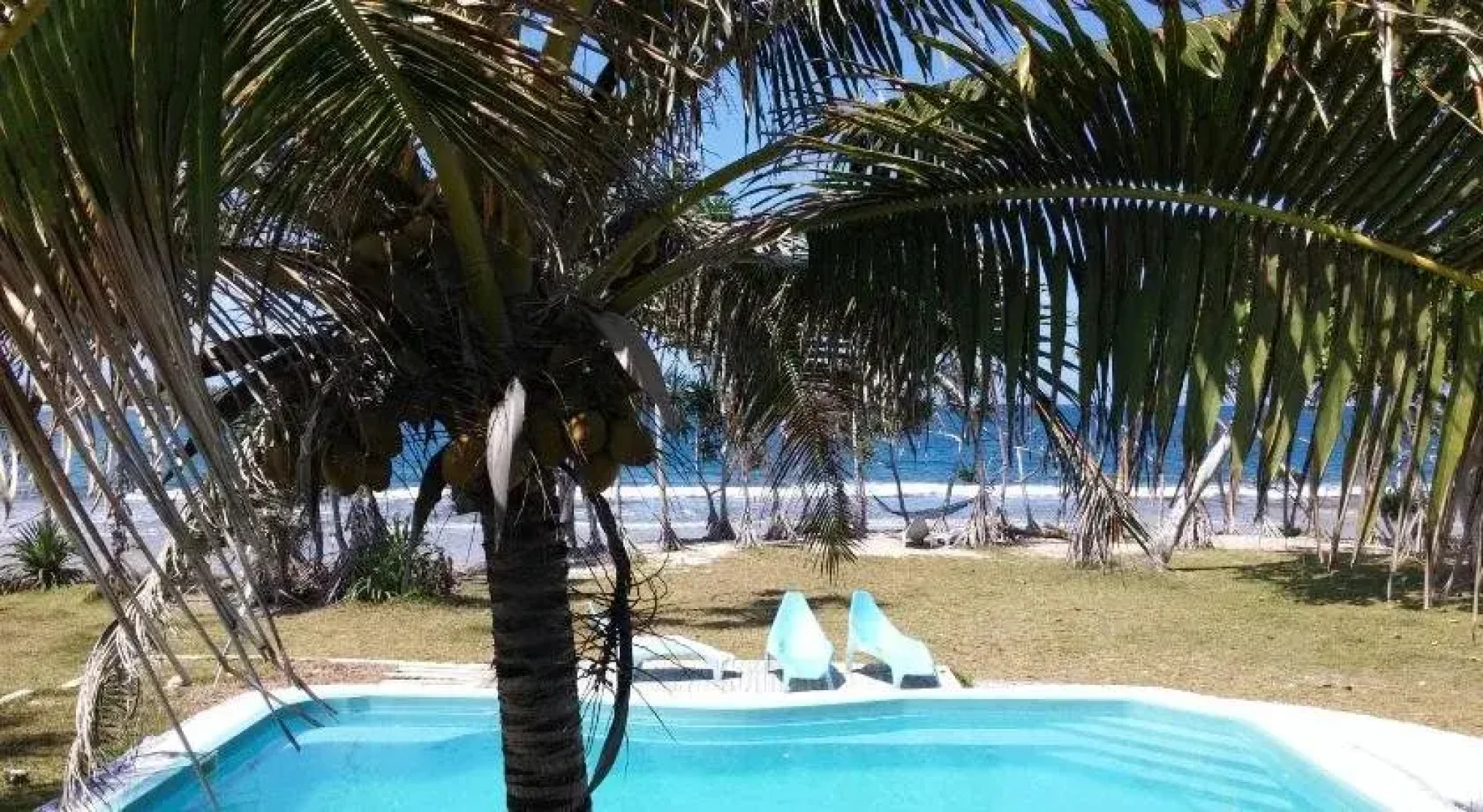 Bluepango Guest House  Hostel