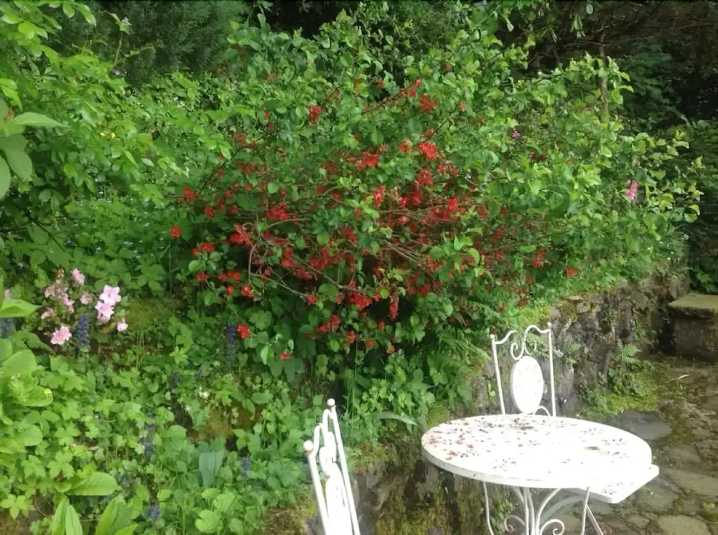 Bed and Breakfast - Principessa Turlonia