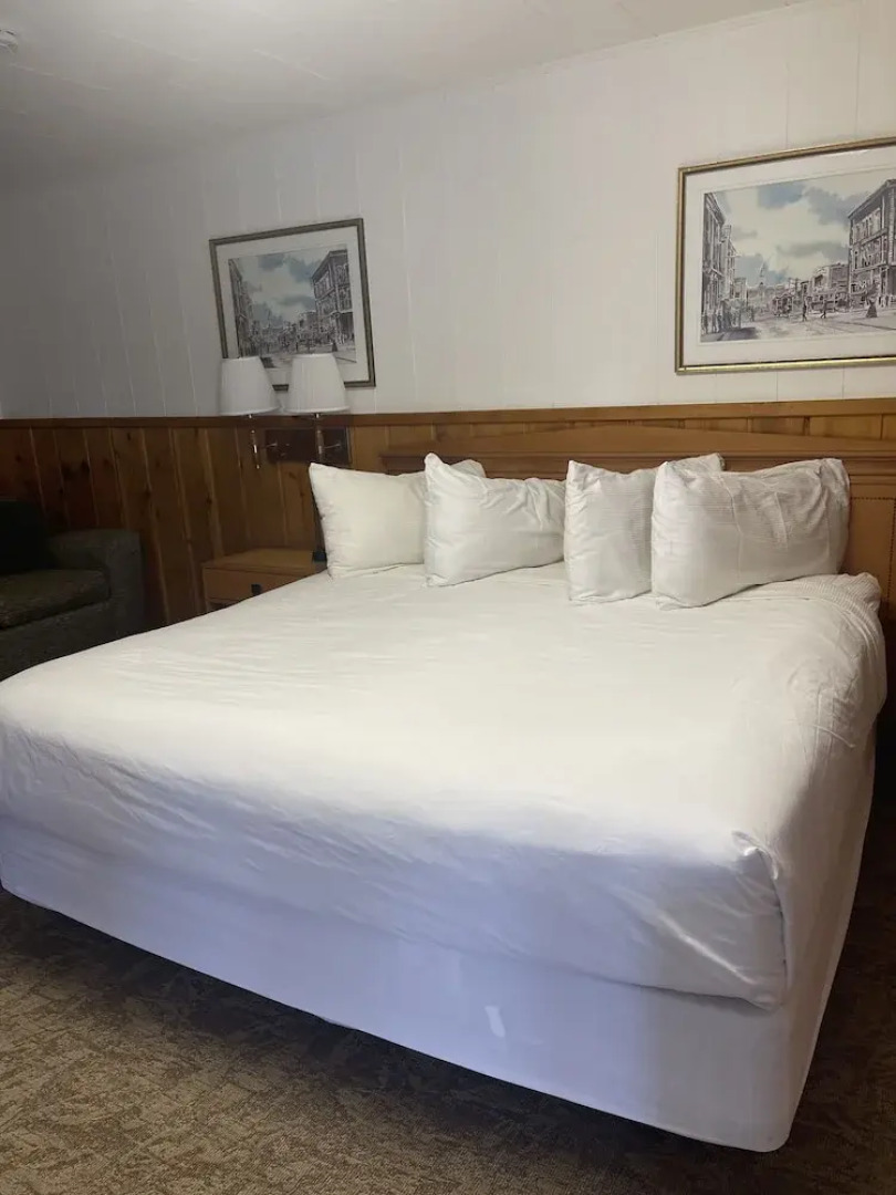 Saddle & Surrey Motel