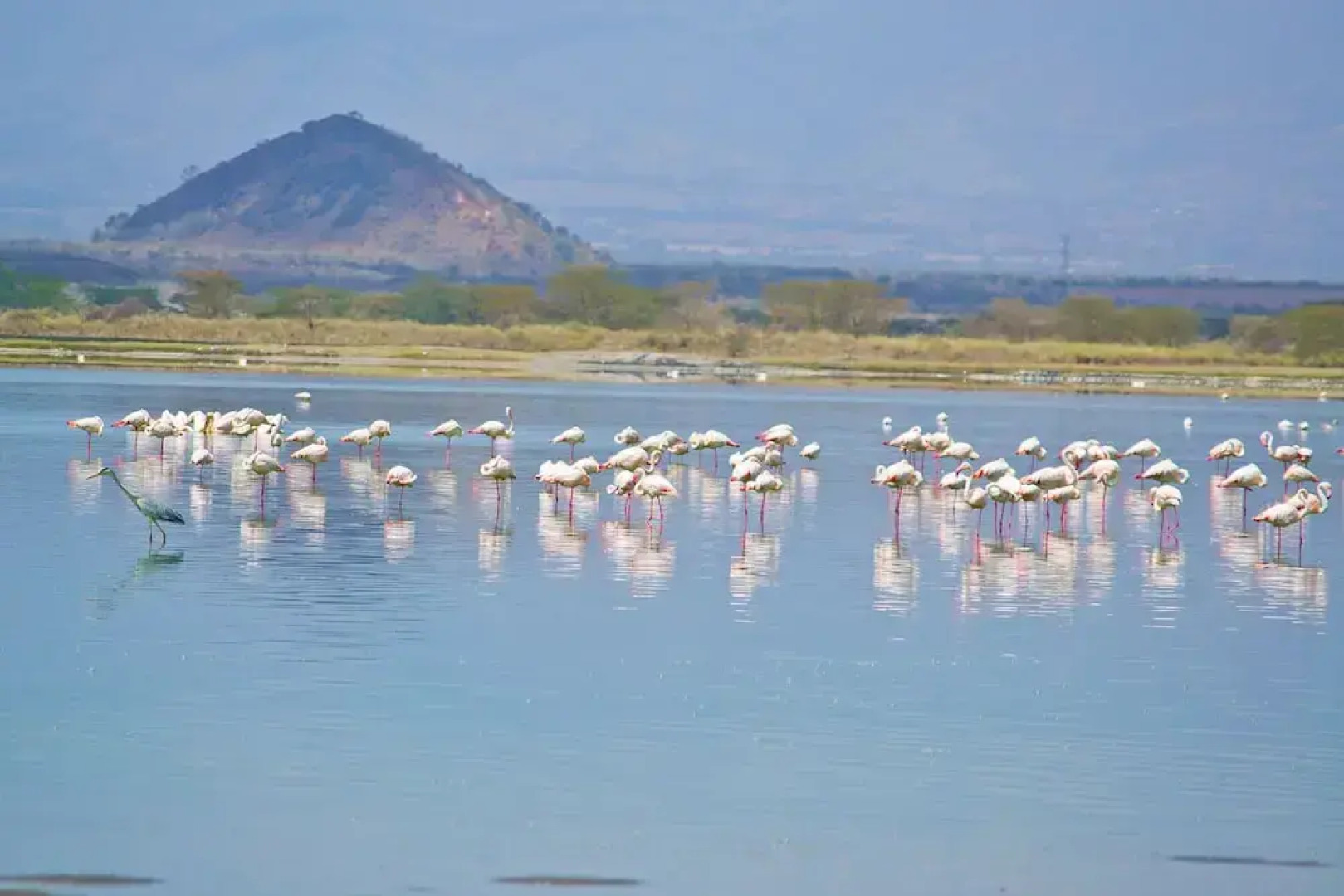 Lake Elementaita Villas