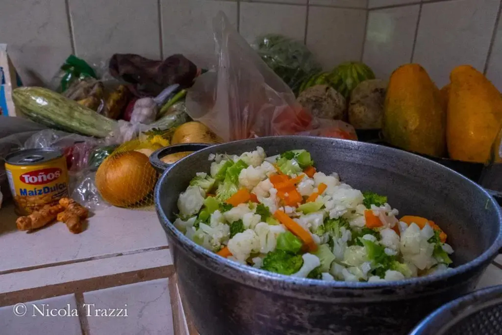 Estación Biológica Tamandua