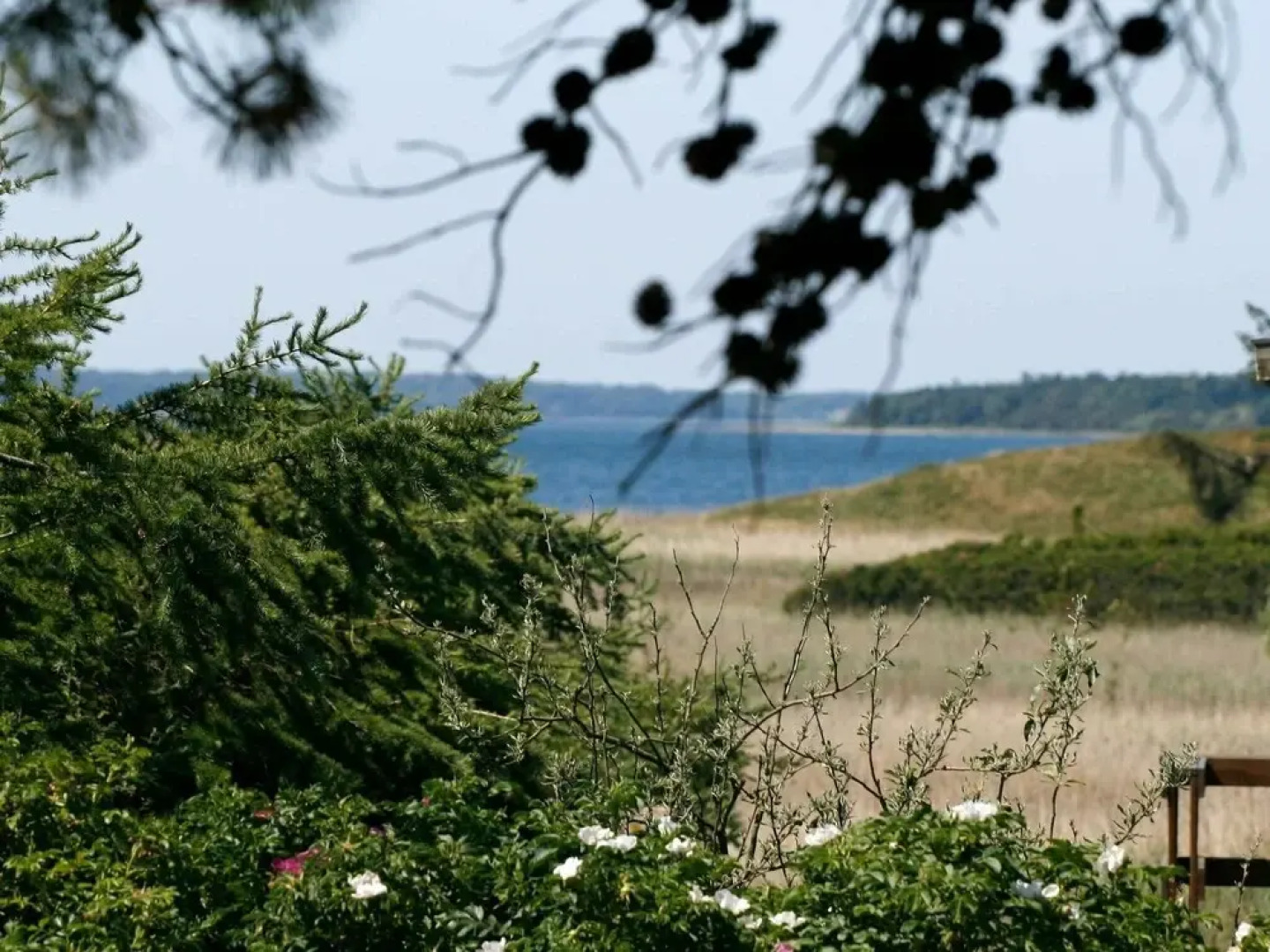Peaceful Holiday Home in Funen Denmark With Terrace