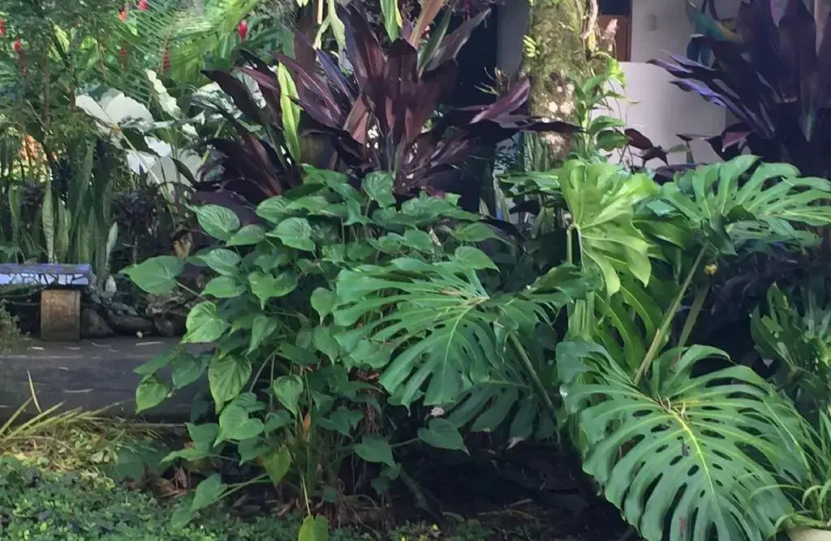 Piscina Natural on the Sea