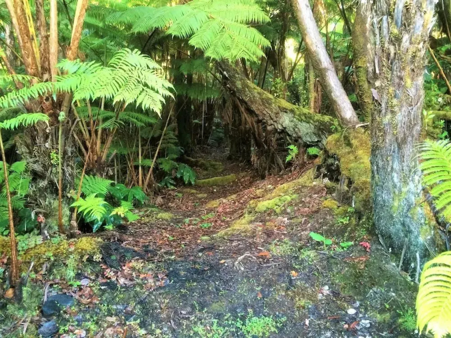 Hale OnaOna by Hawaii Volcano Vacations