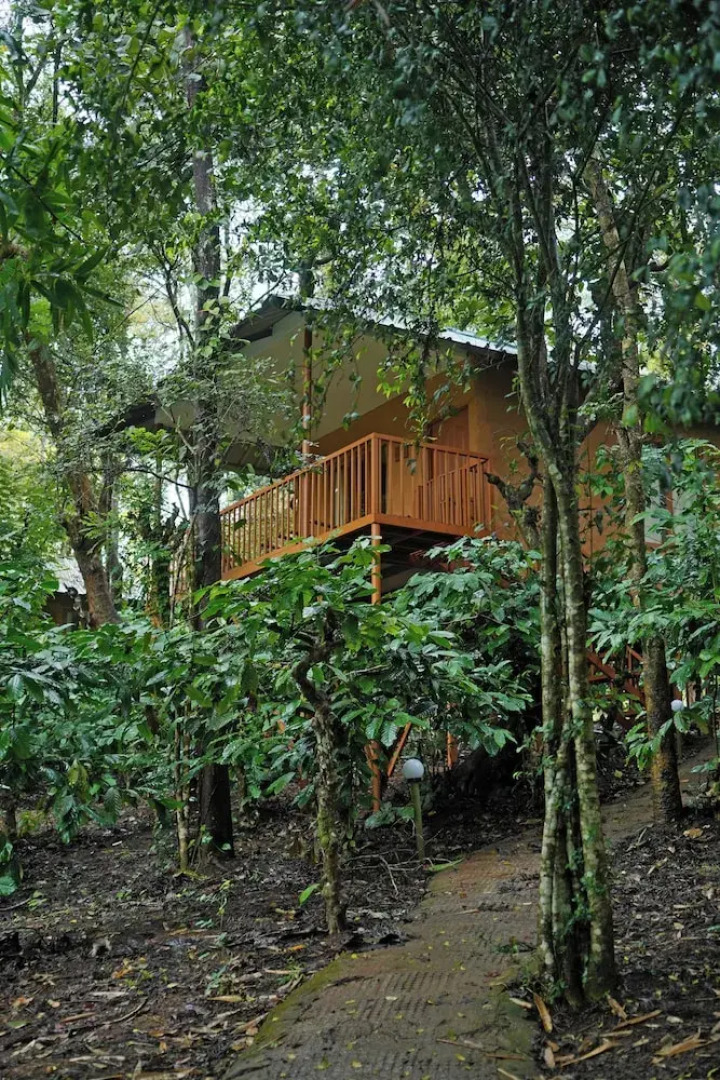 Thennal Jungle Camp Pvt Ltd