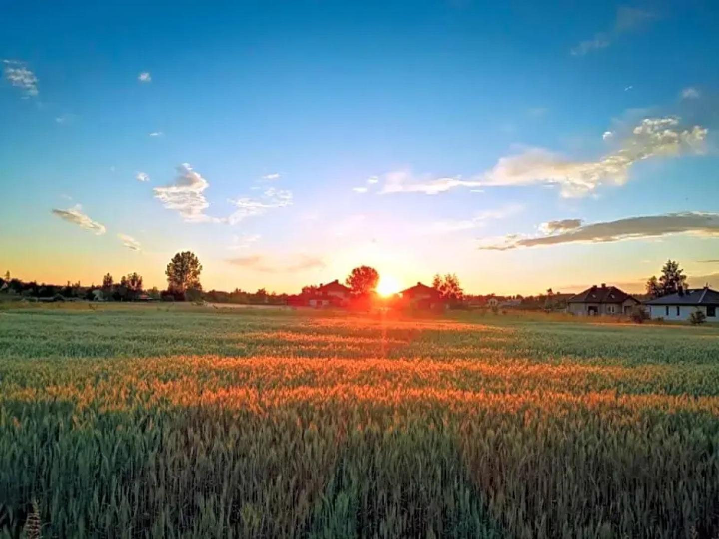 Apartamenty Kajetany 3Rooms