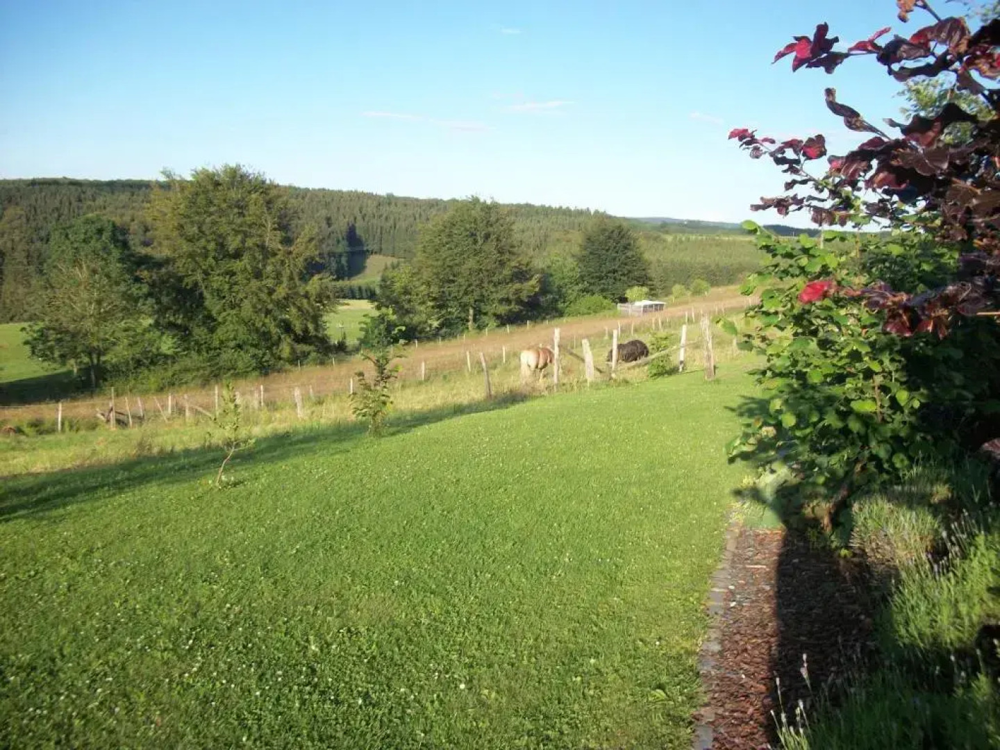 FILD - Holiday Apartment