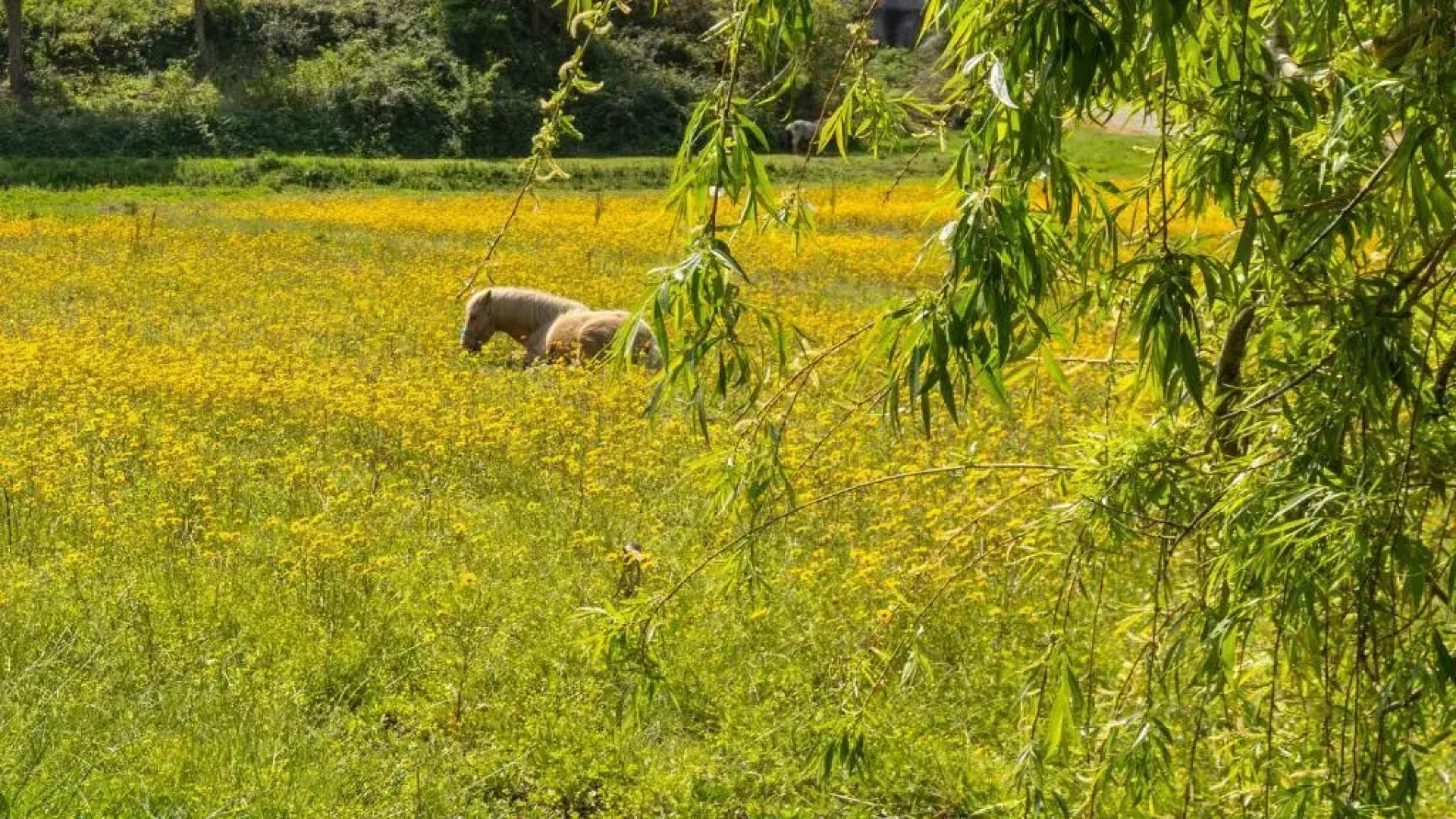 Casa da Praia em Valadares