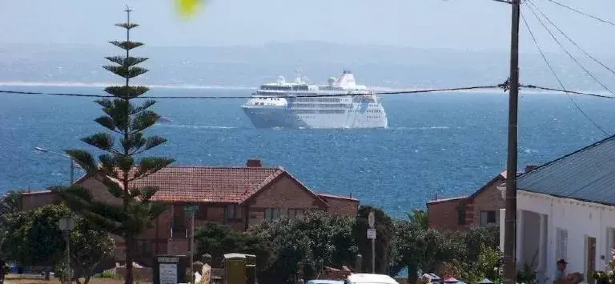 Dolphin House Backpackers and Self Catering