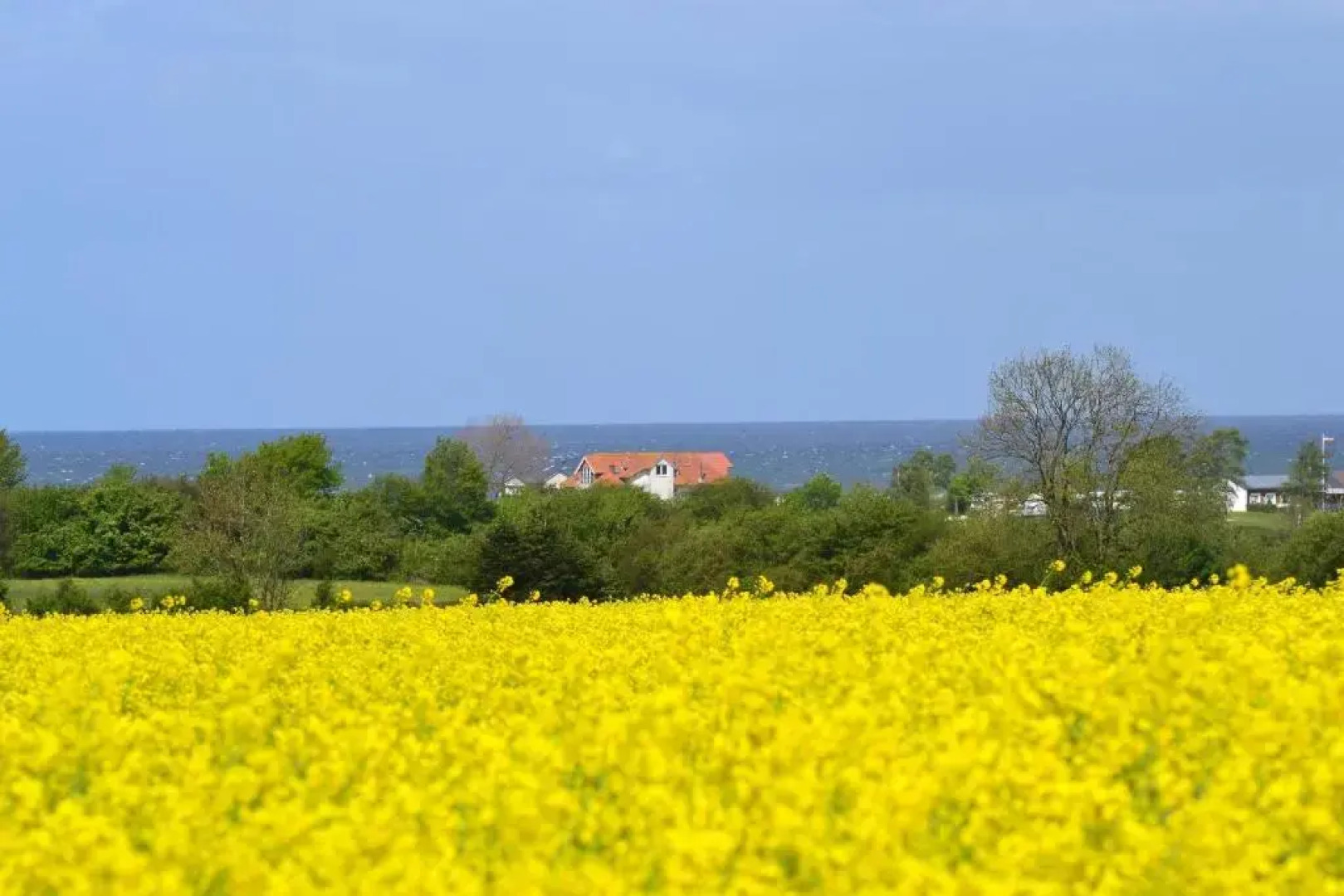 Steiner Strandappartements Appartement 204 Seeseite