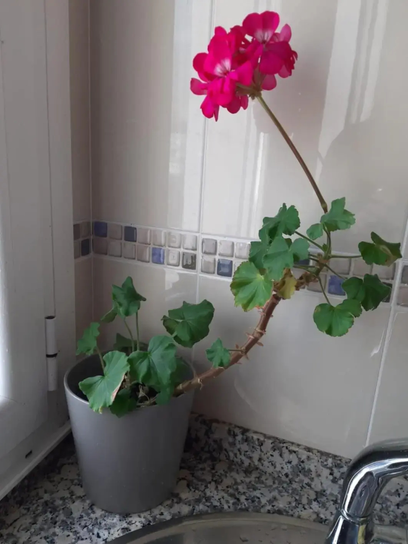 Apartamento Puerto de Foz