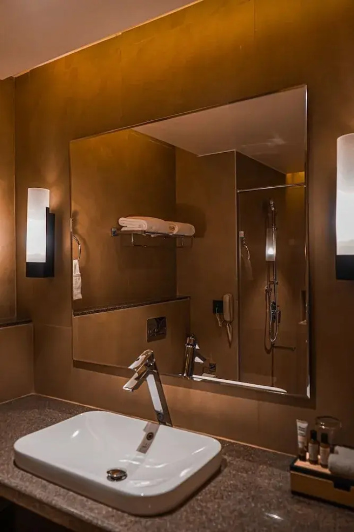 Hotel Avinash International