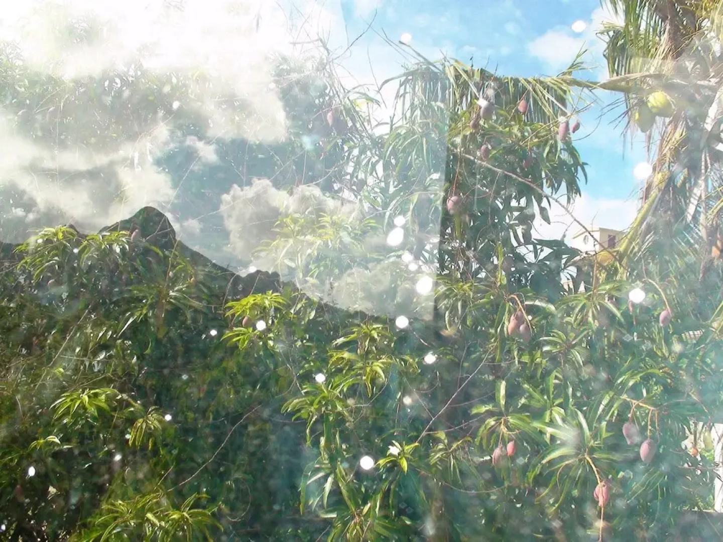 House With 3 Bedrooms In Coromandel With Wifi