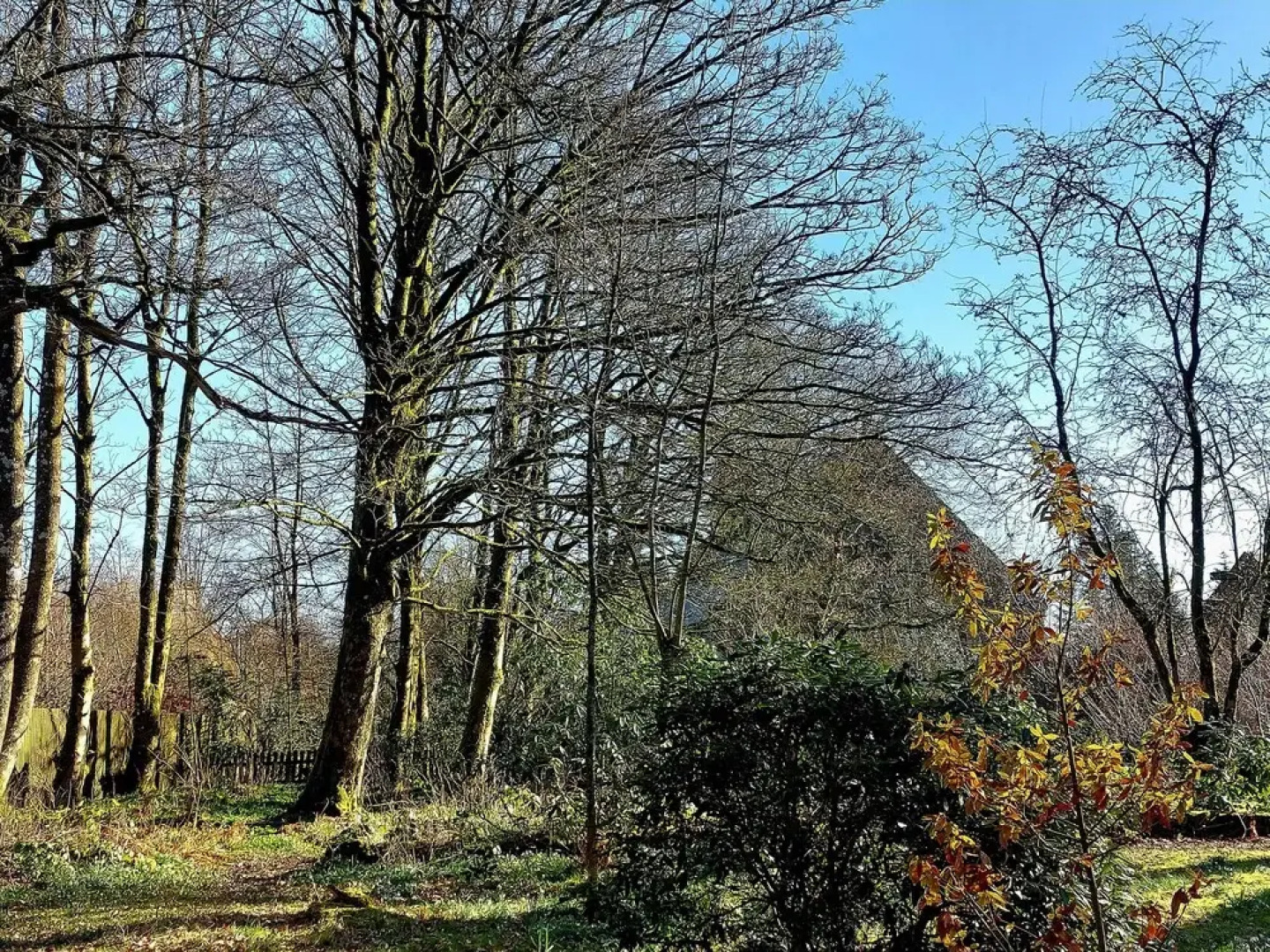 The Coach House, Canonbie