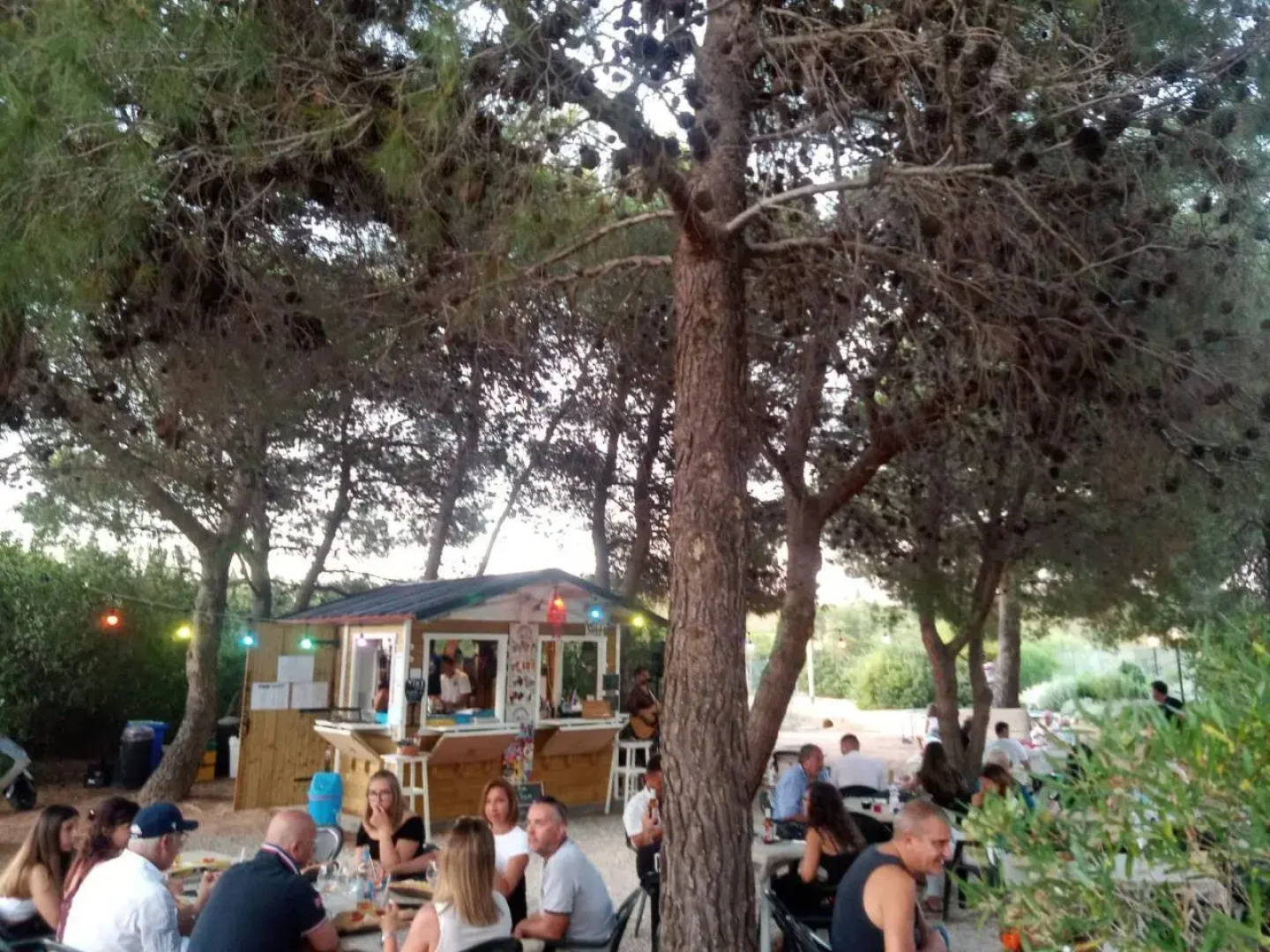 Jungle House - Pineta Is Morus