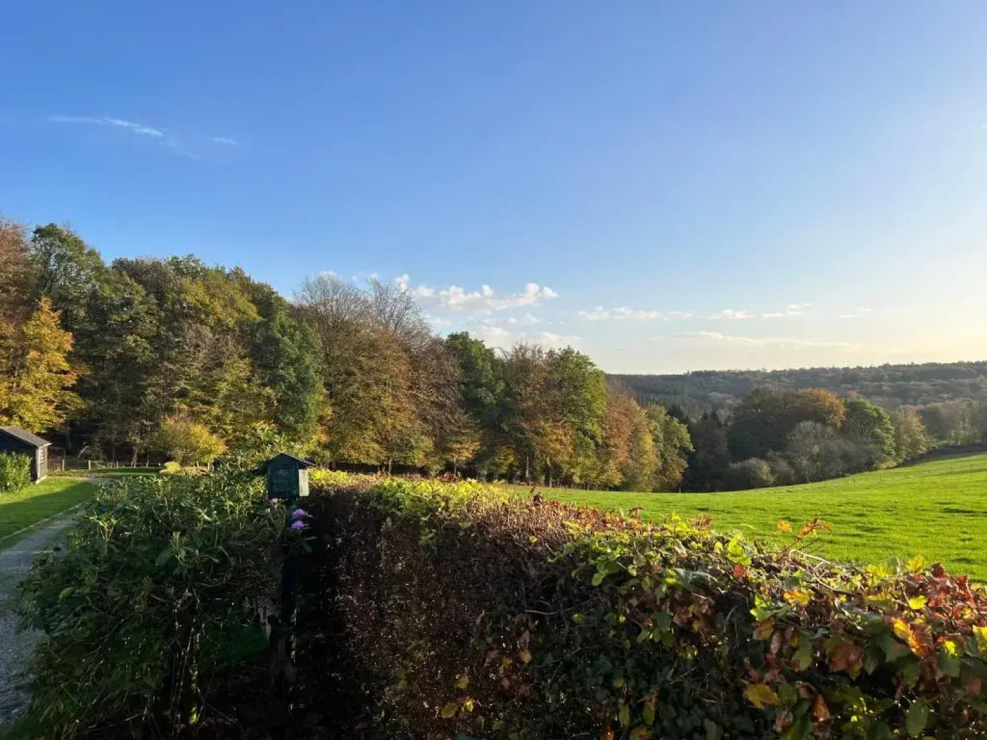 A L’Oree du Bois…