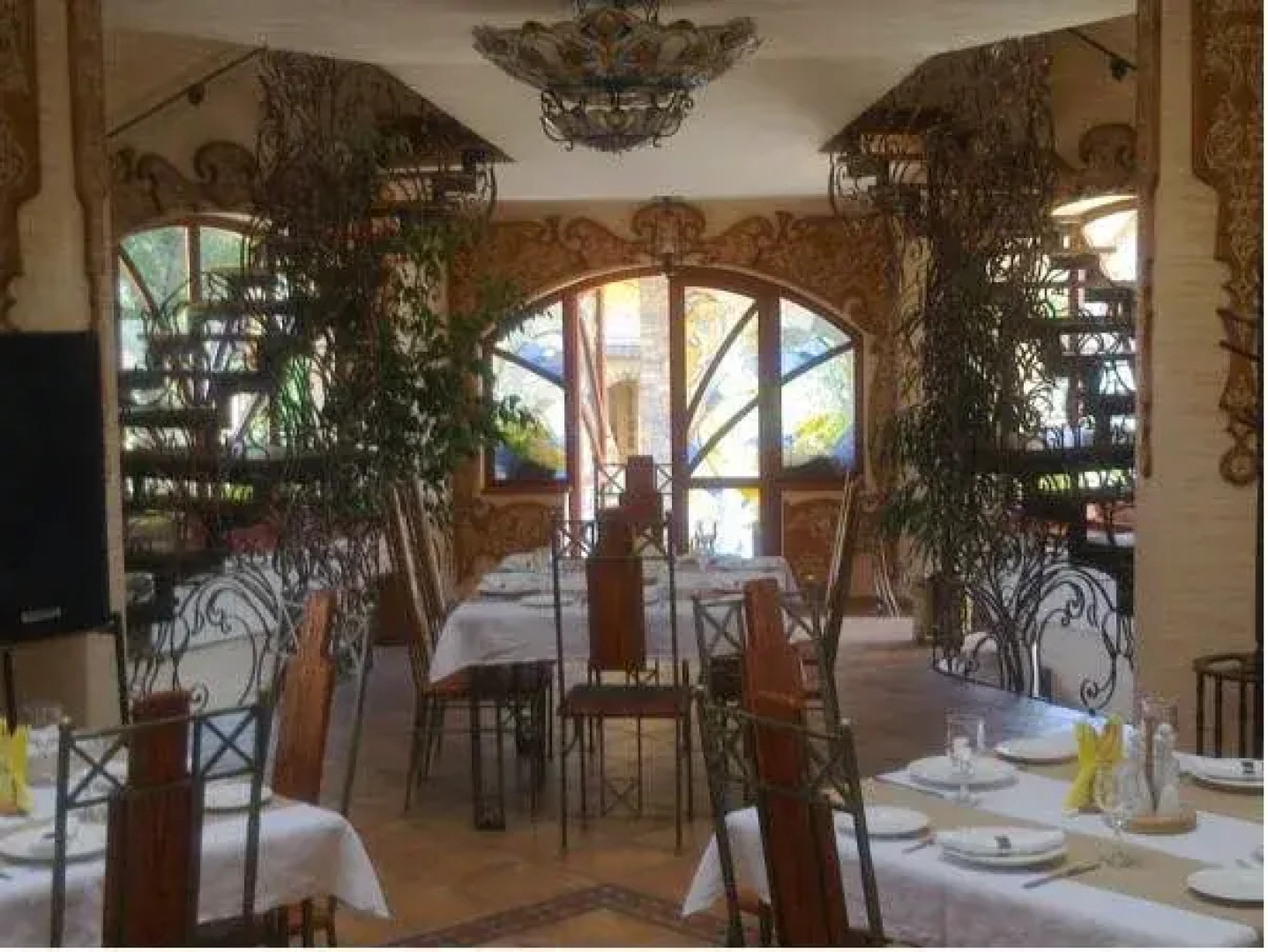 Червона Рута