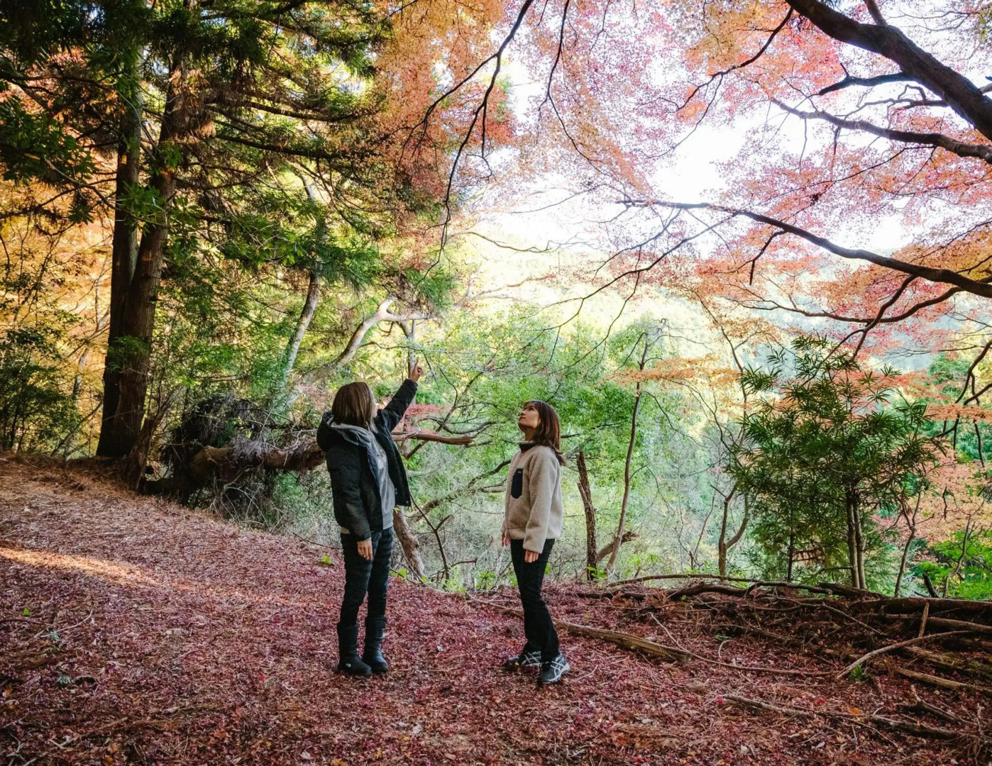 Sen.Retreat Takahara